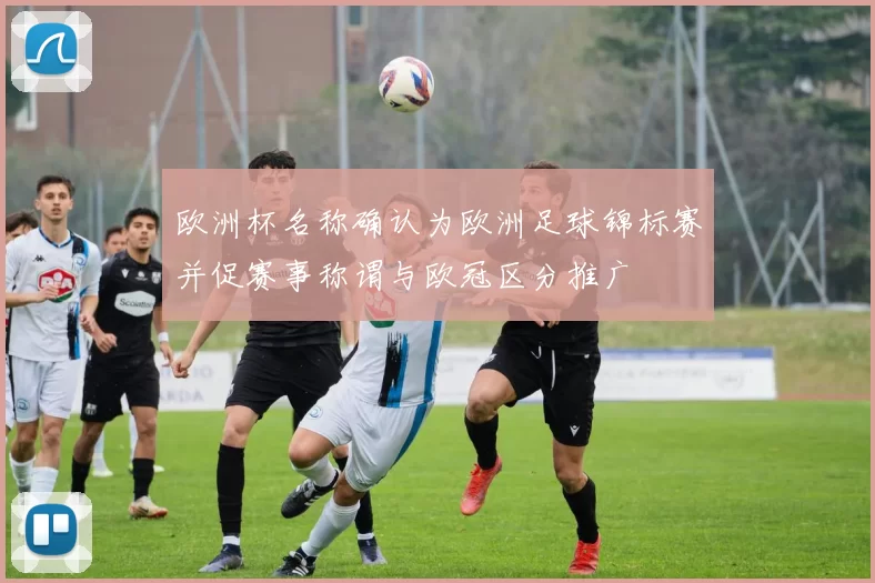 欧洲杯名称确认为欧洲足球锦标赛并促赛事称谓与欧冠区分推广