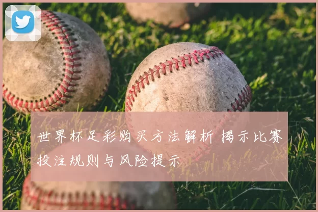 世界杯足彩购买方法解析 揭示比赛投注规则与风险提示