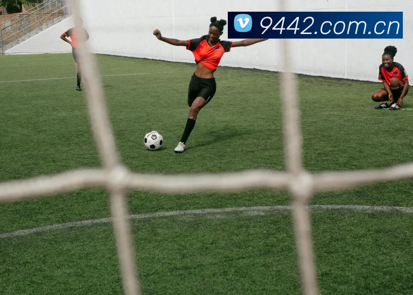 欧宝官方版网站 - 欧宝online(中国)平台生态图